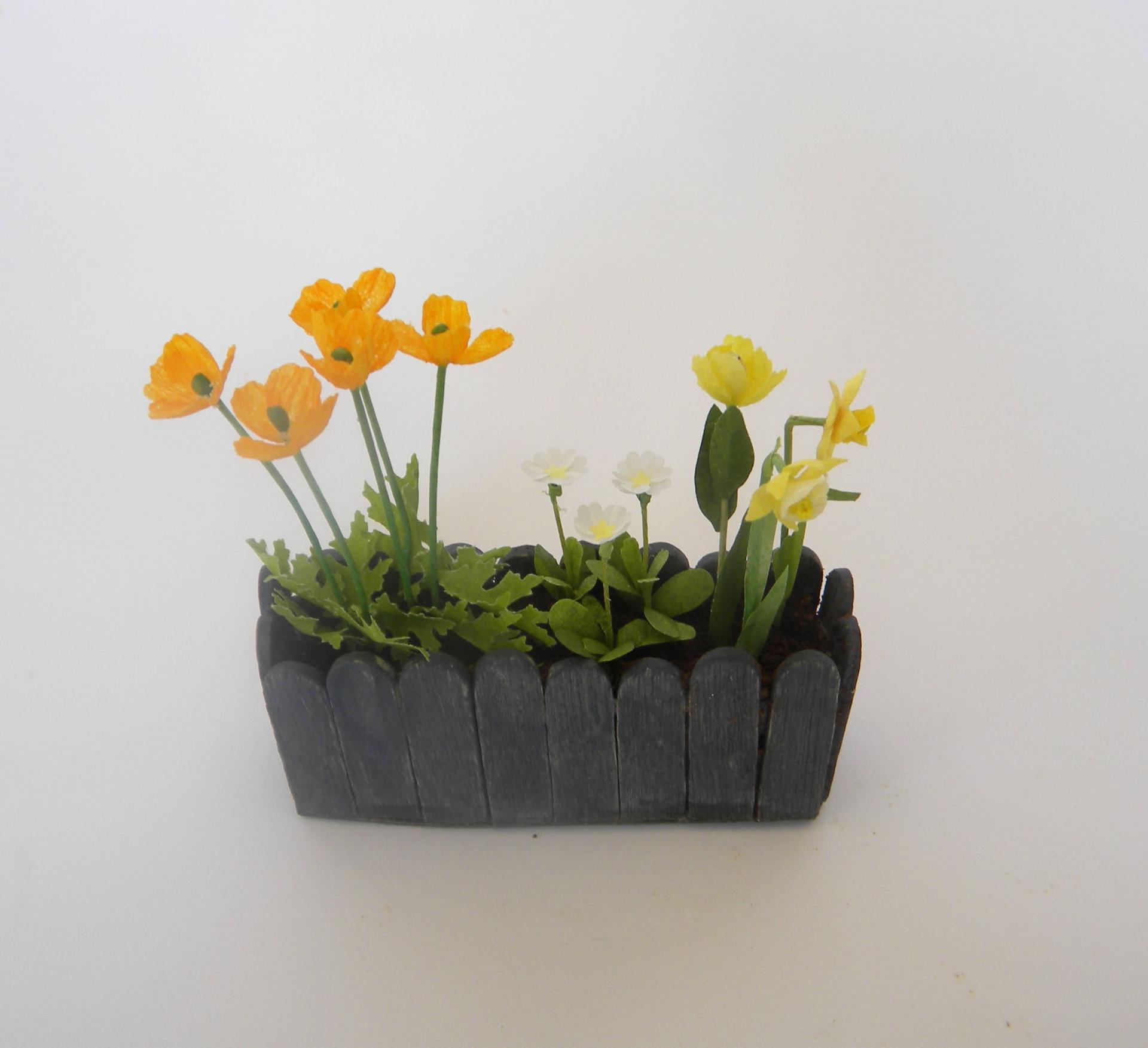 Jardiniere escholtzia2