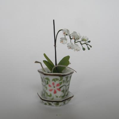 Orchidee vert1