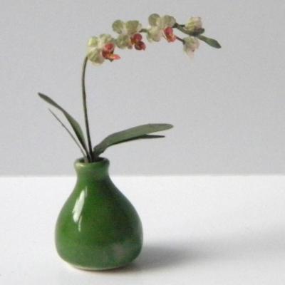 Orchidee