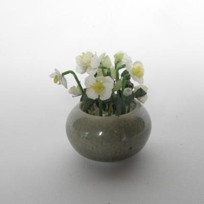Roses de noel 1